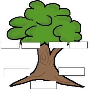 מסלול חקר שורשי משפחה למתחילים, תשפ"ו 